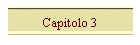 Capitolo 3