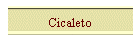 Cicaleto