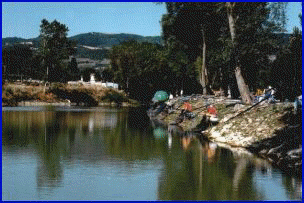 Impianto di pesca sportiva sul Tevere